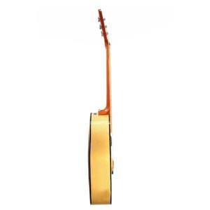 1563450507441-40.S.B PIONEER (CUT-A-WAY,BEECH WOOD WITH PICK-UP) (4).jpg